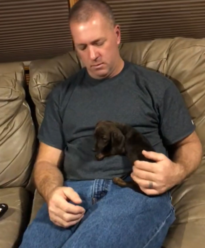 Man asleep on a couch with a small brown puppy on his lap. Men got a pet.