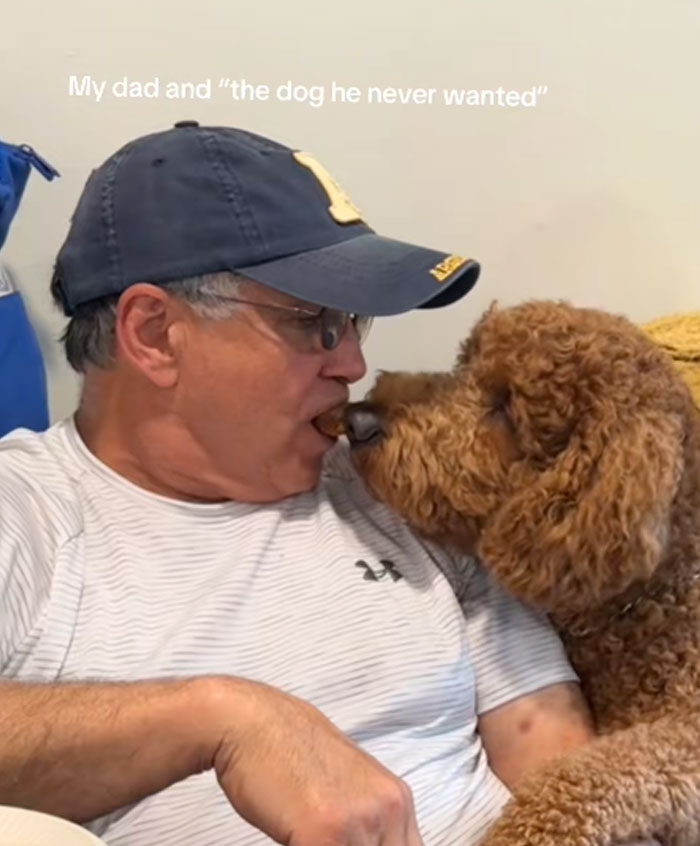 A man in a hat wearing glasses letting a fluffy brown dog eat a treat from his mouth, showing men and pets bond.