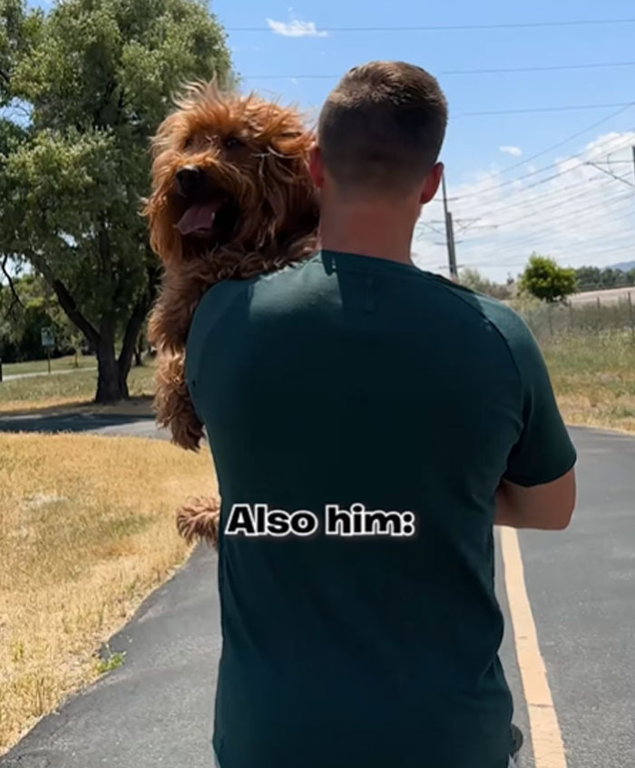 A man carries his brown fluffy pet dog, demonstrating how men get a pet and fall in love with their baby.