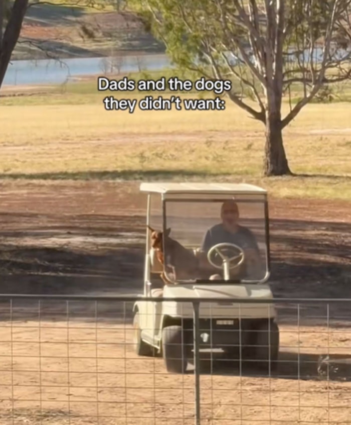 Man drives a golf cart with a dog riding s*****n. Shows men who got a pet against their will.