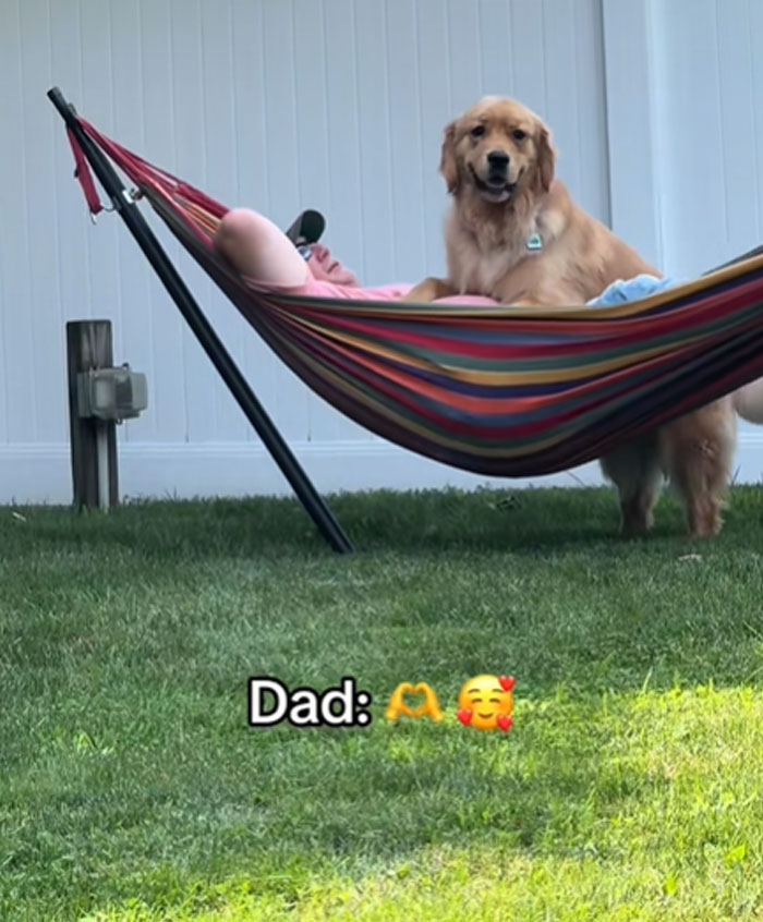 A golden retriever in a hammock with a person, showing the bond men and pets form. Dad loves his baby.