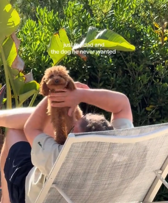 A man relaxes in a lounge chair with a small, fluffy brown pet dog on his chest. Men and pets.