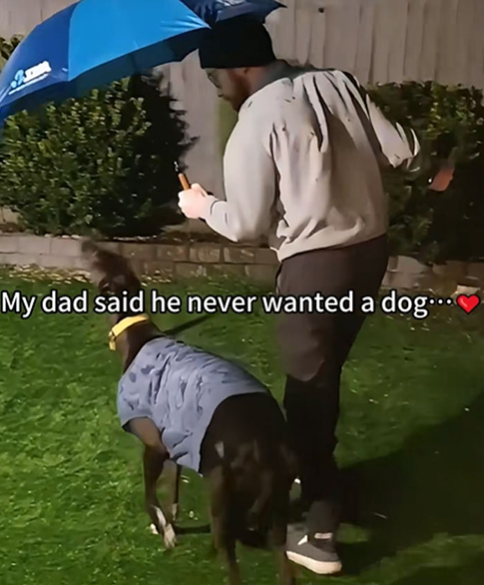 A man holds an umbrella over his pet dog, who wears a blue jacket, showing men who got a pet.