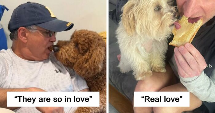43 Times Men Got A Pet Against Their Will And Went From “Absolutely Not” To “That’s My Baby”