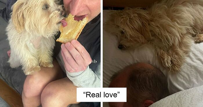 43 Times Men Got A Pet Against Their Will And Went From “Absolutely Not” To “That’s My Baby”