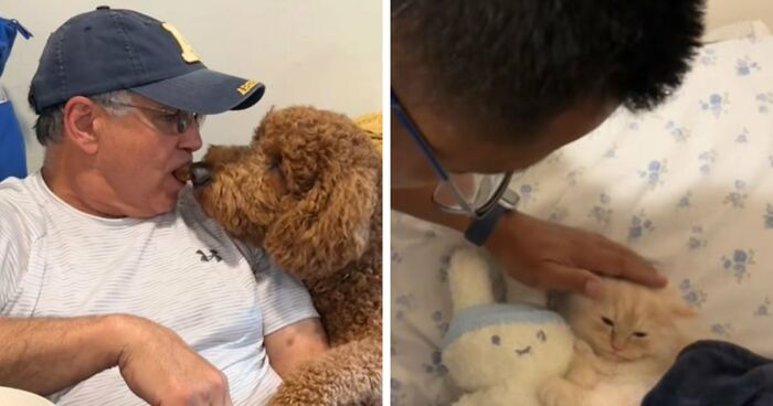 43 Times Men Got A Pet Against Their Will And Went From “Absolutely Not” To “That’s My Baby”