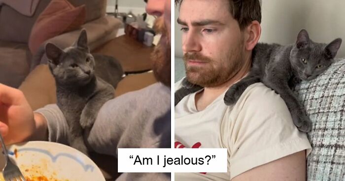 43 Times Men Got A Pet Against Their Will And Went From “Absolutely Not” To “That’s My Baby”