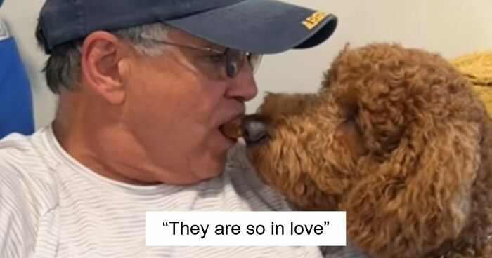 43 Times Men Got A Pet Against Their Will And Went From “Absolutely Not” To “That’s My Baby”