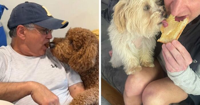 43 Times Men Got A Pet Against Their Will And Went From “Absolutely Not” To “That’s My Baby”