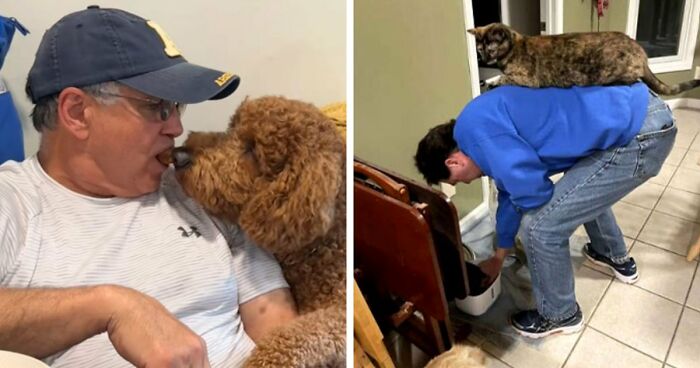 43 Times Men Got A Pet Against Their Will And Went From “Absolutely Not” To “That’s My Baby”