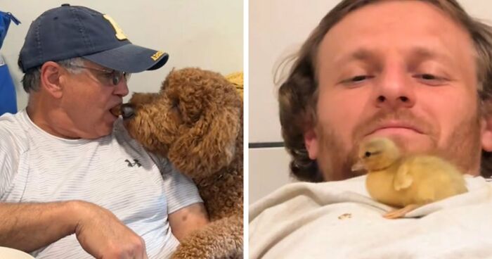 43 Times Men Got A Pet Against Their Will And Went From “Absolutely Not” To “That’s My Baby”