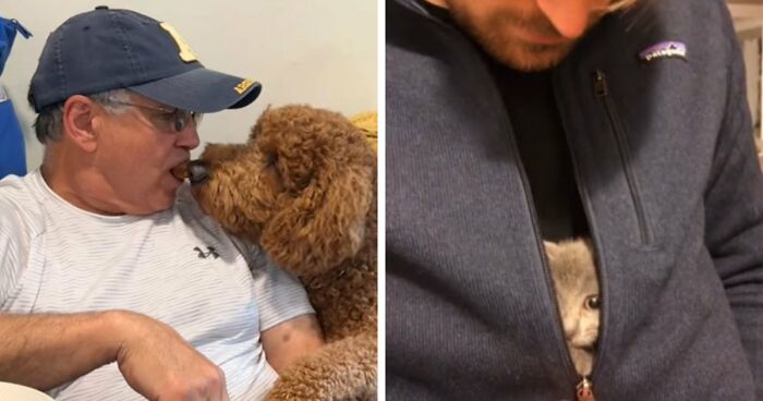 43 Times Men Got A Pet Against Their Will And Went From “Absolutely Not” To “That’s My Baby”