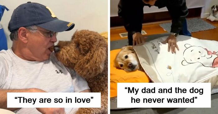 43 Times Men Got A Pet Against Their Will And Went From “Absolutely Not” To “That’s My Baby”