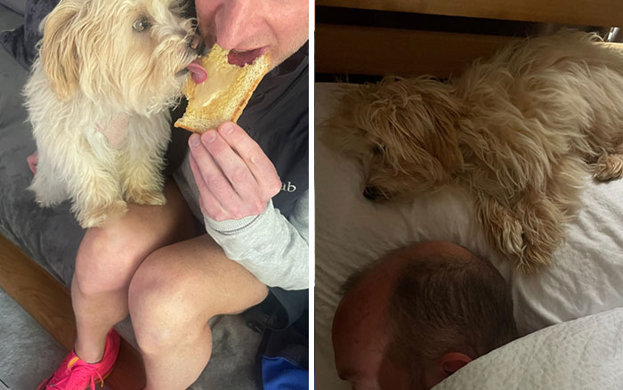A man sharing toast with a pet dog, and the same dog sleeping on a man's head, showing a man's love for his pet.