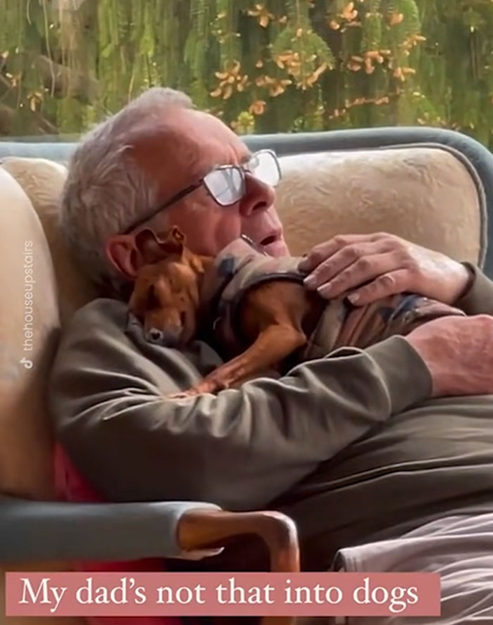 An elderly man in glasses and a green sweater holds a small brown dog close, showcasing men got a pet.