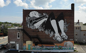 43 Black-And-White Murals By Alex Senna That Turn City Walls Into Stories