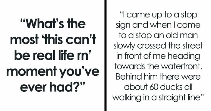 “January 6”: 28 Times People Couldn’t Comprehend That Life Was Actually For Real