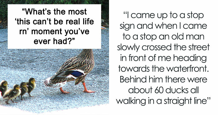 “January 6”: 28 Times People Couldn’t Comprehend That Life Was Actually For Real