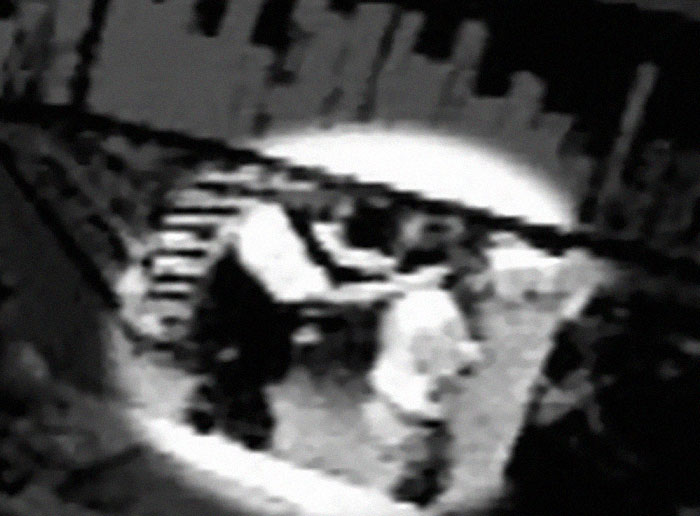 Blurry black and white image showing a mysterious figure near a window