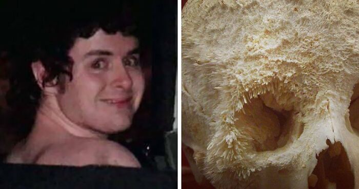 58 Safe For Work Images That Are Highly Disturbing