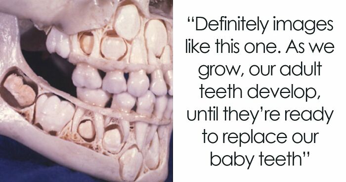 58 Safe For Work Images That Are Highly Disturbing