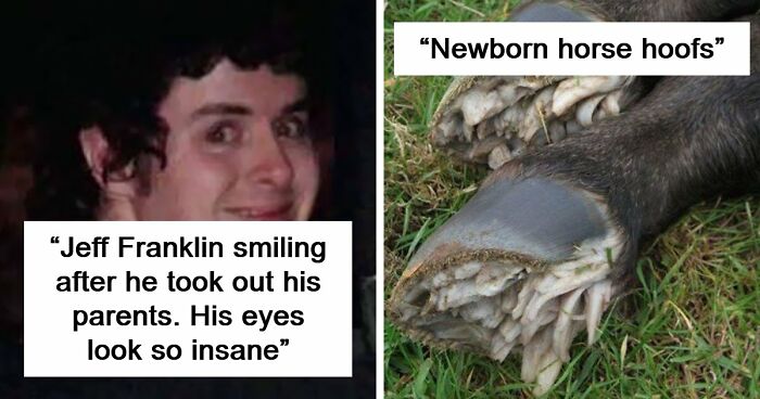 58 Safe For Work Images That Are Highly Disturbing
