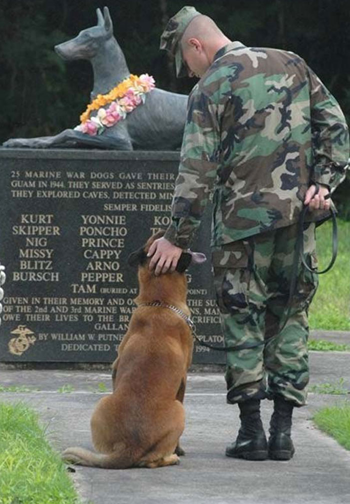 Soldier in camouflage petting dog at memorial for war dogs