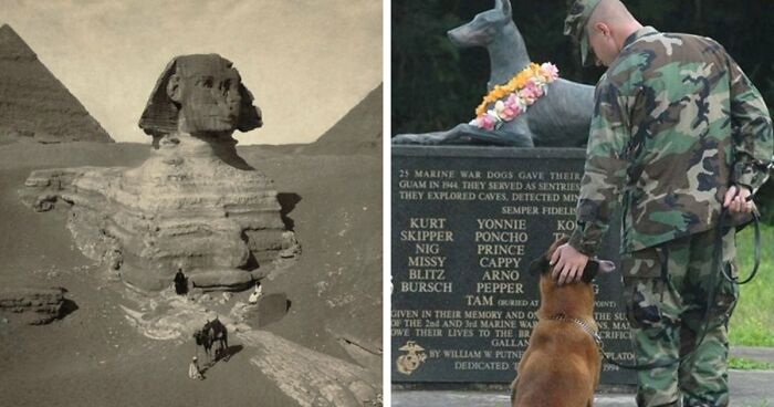 39 Powerful Photos Of All Time That Left People Completely Speechless