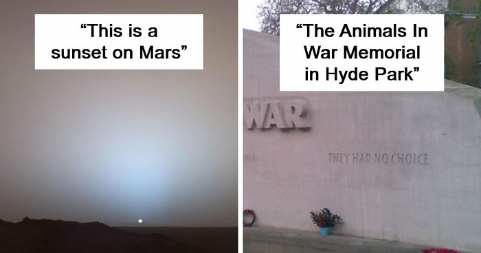 39 Powerful Photos Of All Time That Left People Completely Speechless