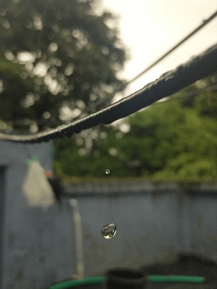 Close-up of rain drops falling from a wet rope in outdoor nature setting