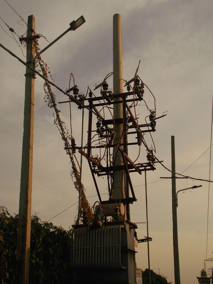 Electric transformer on pole with wires and street lamps at sunset random camera clicks