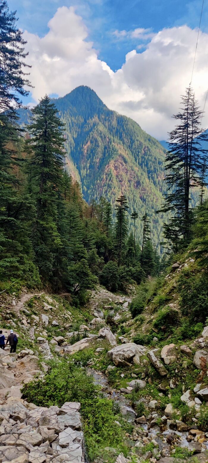 Incredible mountain landscape with lush green trees and blue sky random camera clicks