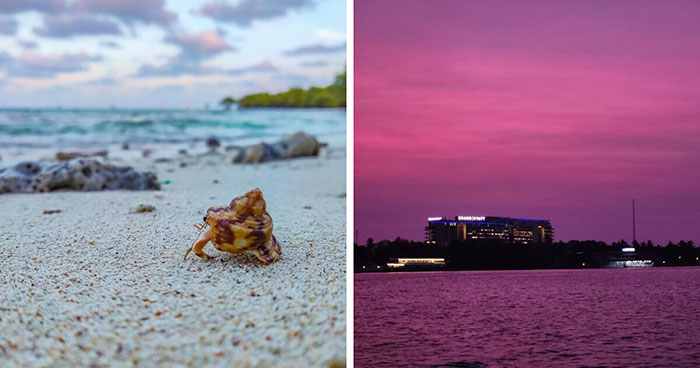 42 Random Camera Clicks That Turned Out To Be The Most Incredible Photos Ever