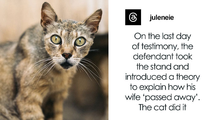 57 Courtroom Stories So Wild They Sound Completely Made Up