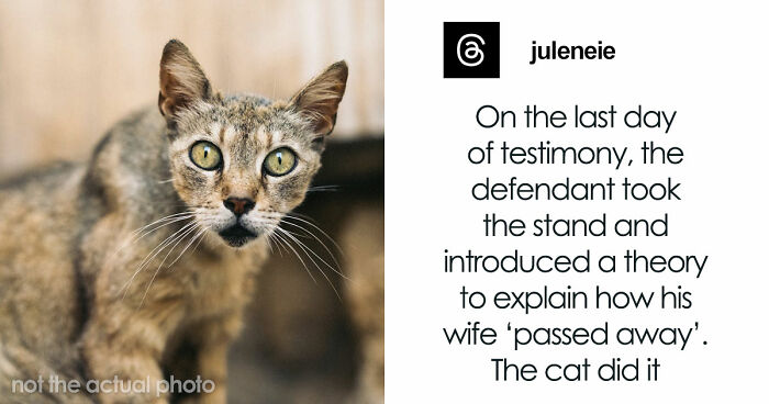 57 Courtroom Stories So Wild They Sound Completely Made Up