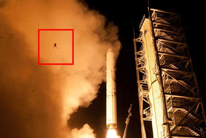 Rocket launch photo featuring an unexplained insect within the smoke cloud