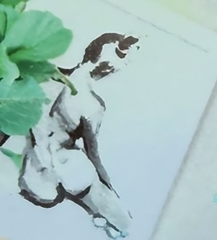 A child's drawing resembling a figure or dog on white paper with green leaves, an odd detail, possibly Meghan Markle's post.