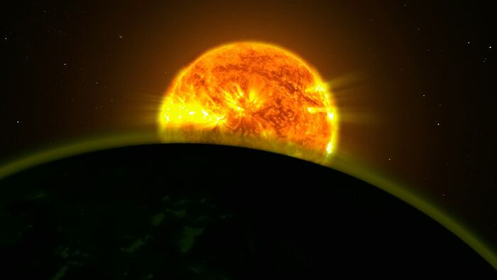 "Crows Hold A Grudge For 17 Years": 35 Mind-Blowing But True Scientific Facts About Everything