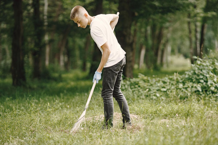 Young person raking leaves on grassy land near forest