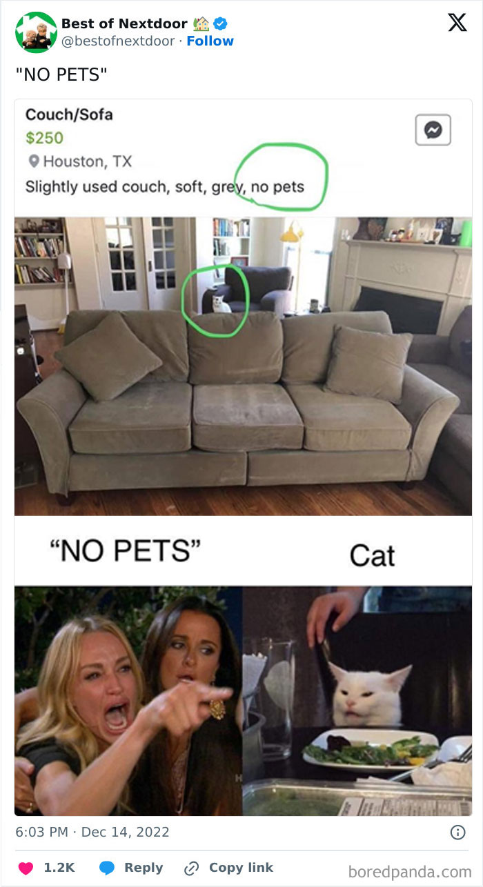 Humorous no pets couch listing with cat visible and meme about pets.