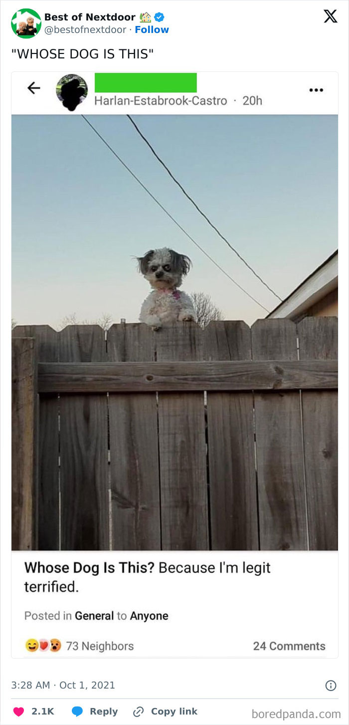 Nextdoor post showing small dog peeking over fence with neighbor asking owner