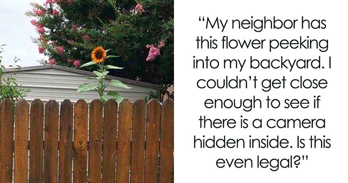 87 Best And Worst Neighbors Who Make Sure Life In Their Neighborhood Never Gets Boring (New Pics)