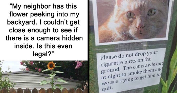 87 Best And Worst Neighbors Who Make Sure Life In Their Neighborhood Never Gets Boring (New Pics)