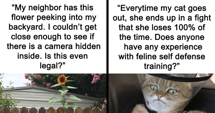 87 Best And Worst Neighbors Who Make Sure Life In Their Neighborhood Never Gets Boring (New Pics)