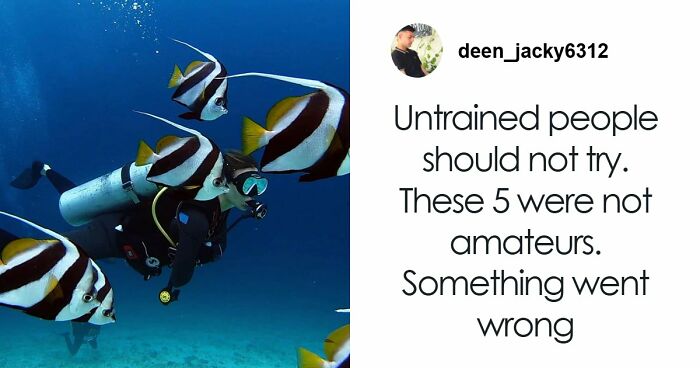 2026 Eurovision’s Biggest Moments Spark A Flurry Of Memes, Here Are The Funniest Ones