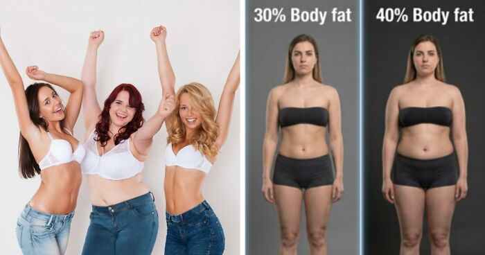 Study Puts “Dad Bods” Under Scrutiny After Women Pick Lean Athletic Men And Reject Hollywood Slim Ideal