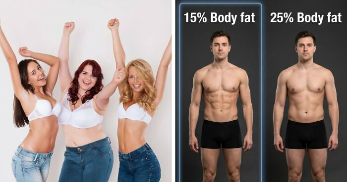 Study Puts “Dad Bods” Under Scrutiny After Women Pick Lean Athletic Men And Reject Hollywood Slim Ideal