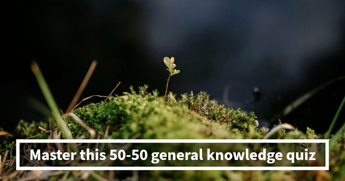 “Are You Smarter Than Average?”: Prove It With This 50-50 General Knowledge Quiz