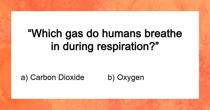 “Are You Smarter Than Average?”: Prove It With This 50-50 General Knowledge Quiz