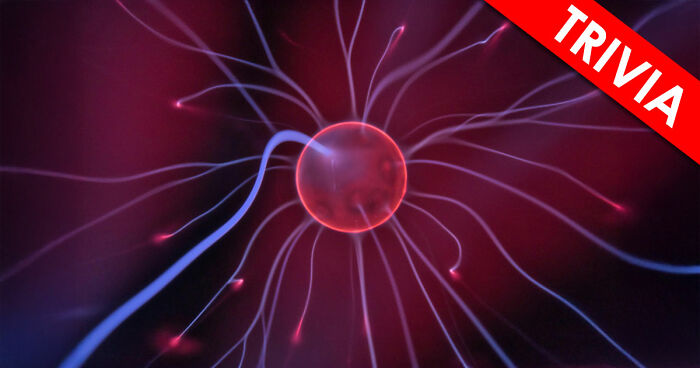 “Do You Understand How The World Works?”: Prove It In This 28-Question Science Quiz